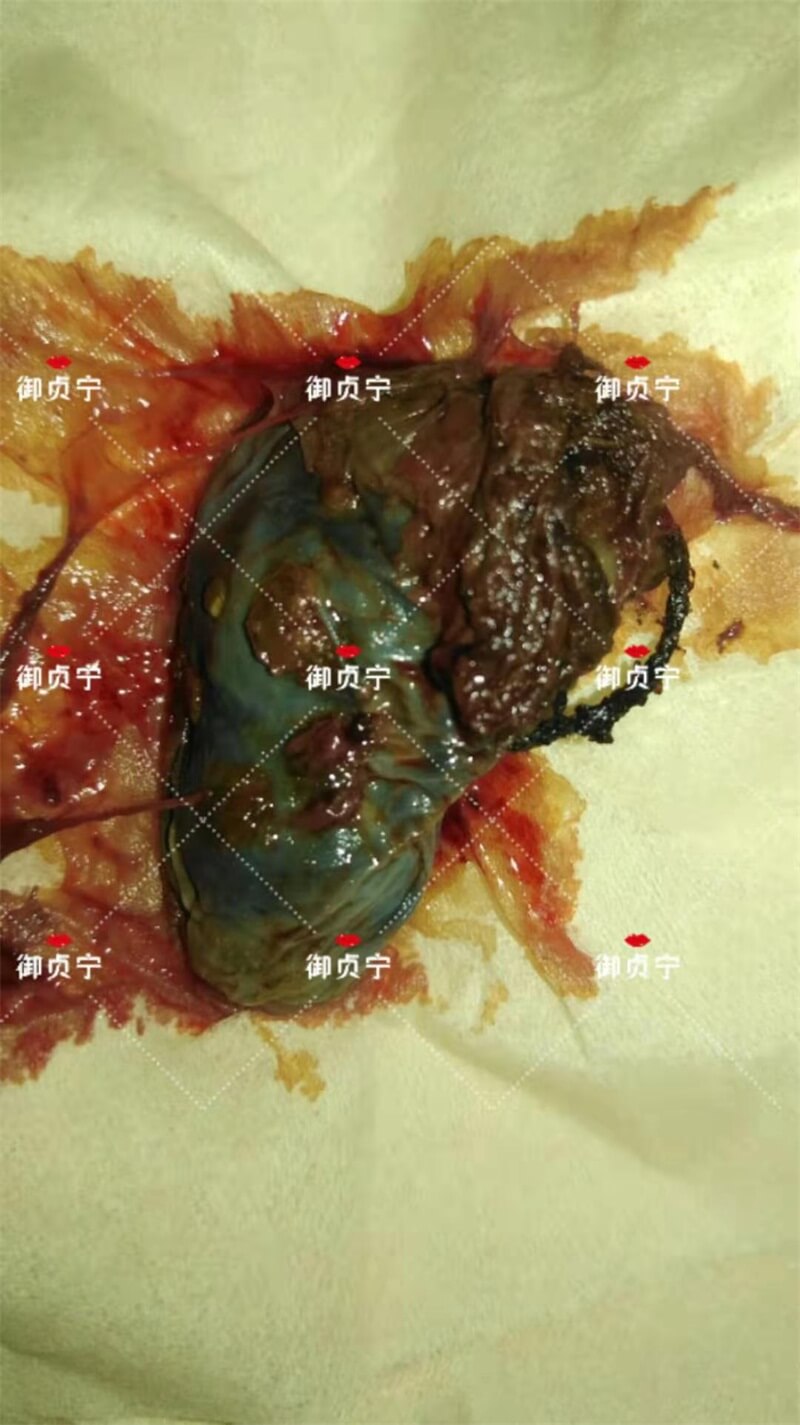 保养顾客一粒征服