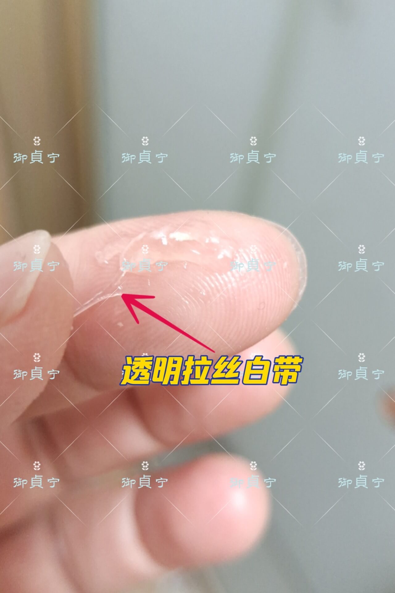 今天终于信服这个“小东西”了，是彻底信服 ——御貞宁用