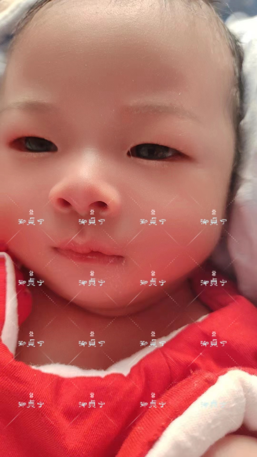 微信图片_20240225102943